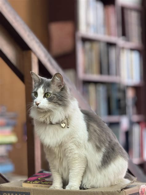 David Lusk Gallery - In the racks "Earth" by Robert Yasuda. Yasuda has