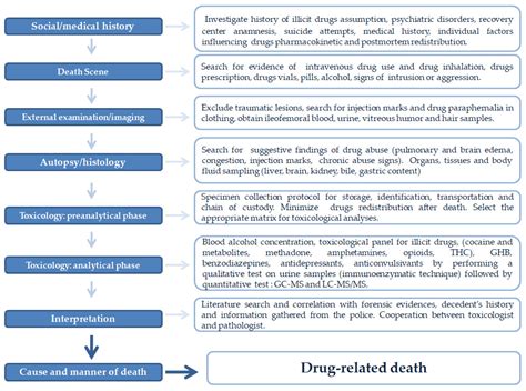 A Forensic Diagnostic Algorithm for Drug-Related Deaths: A Case Series