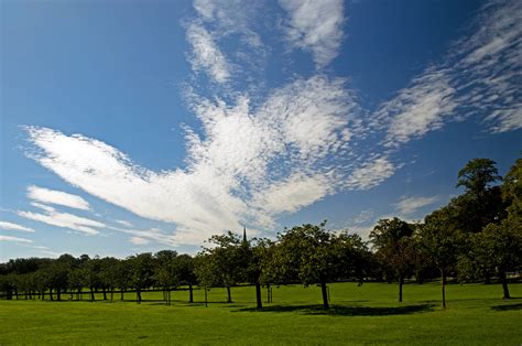 Summer Day Free Stock Photo Public Domain Pictures