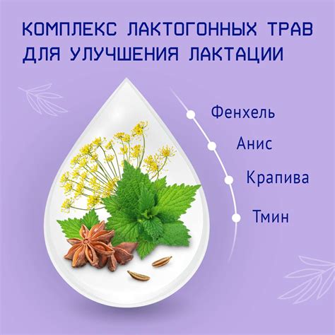 Смесь НутриМа Лактамил для кормящих женщин. NutriMa Lactamil Казахстан.