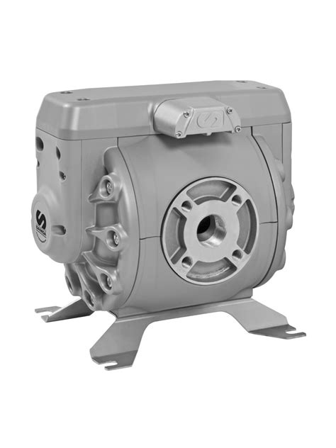 Купить Диафрагменный насос DF 250 в магазине Petropump