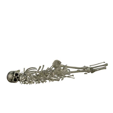 9000 Free Skull Pile And Skull Images Pixabay