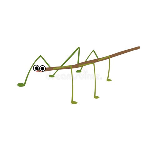 Stick Insect Animal Cartoon Character Vector Illustration Stock Vector ...