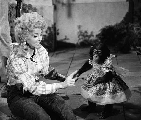 Tv Actors Actors Actresses Donna Douglas Buddy Ebsen The Beverly