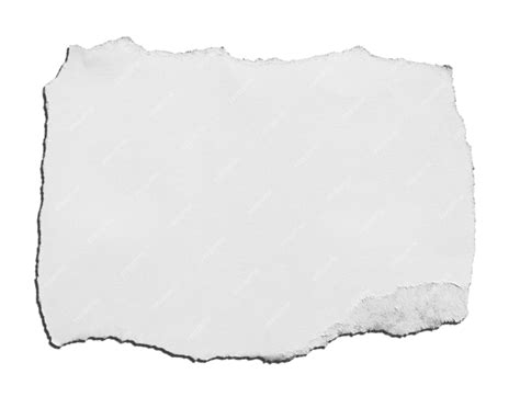 Premium Photo | Pieces of torn paper on whitebackground with copy space ...