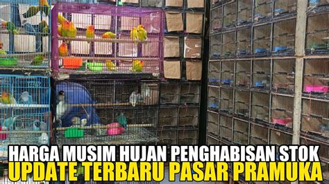 Hujan Petir Jakarta Cuaca Ekstrim Jual Stok Full Update Harga