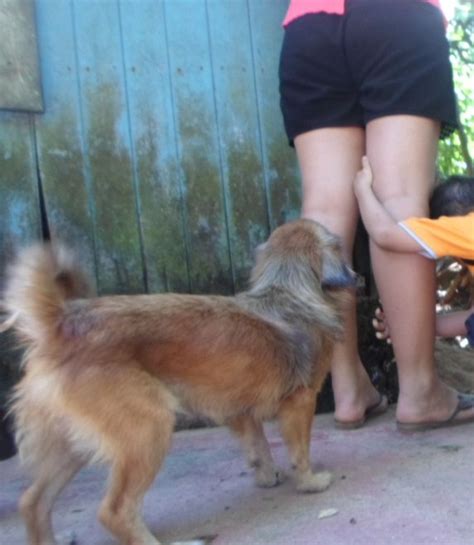 Deliciosa Photo Gallery Porn Pics Sex Photos Xxx Gifs