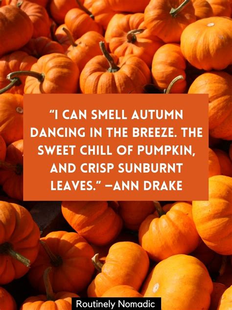 150 Cute Pumpkin Captions For That Fall Pumpkin Patch Aesthetic