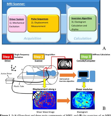 Figure From Magnetic Resonance Elastography For Applications In