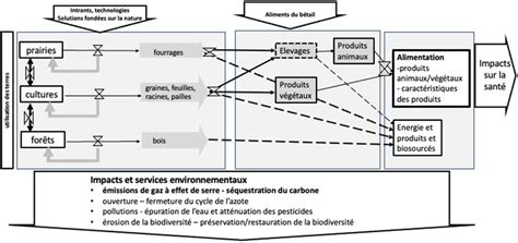 Repr Sentation Sch Matique Des Relations Entre Les Leviers Utilisation