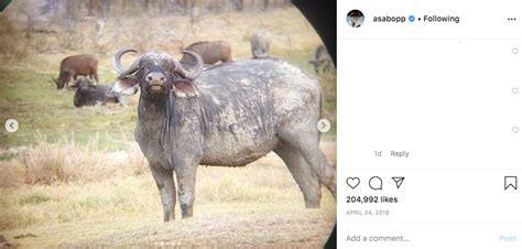 Soi C P T C Instagram Nam Ch Nh Sex Education Trai Ngoan Ch Nh Hi U Di N Xu T Ng Y U V L