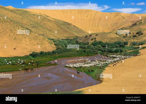 Baga-Nariin-Gol, Nariin River, Mongolia Stock Photo - Alamy