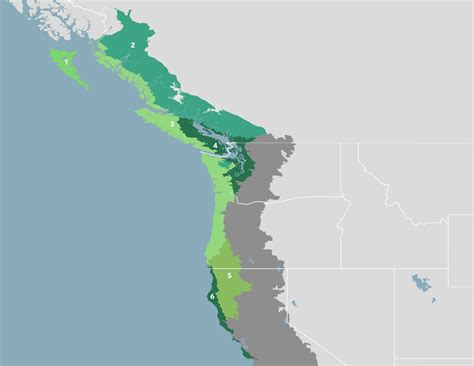 Pacific Northwest Coastal Forests (NA15) | One Earth