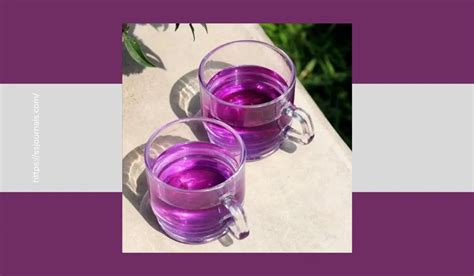 What Is Purple Tea Health Benefits Of Taking Purple Tea