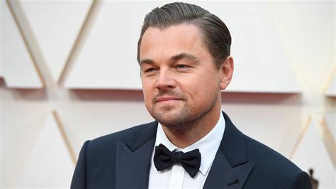 Forscher benennen neu entdeckten Baum nach Leonardo DiCaprio | The