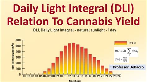 Daily Light Integral Dli Relation To Cannabis Yield Youtube