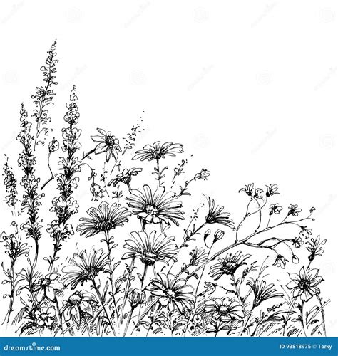 Field Flowers Stock Illustrations – 31,031 Field Flowers Stock ...