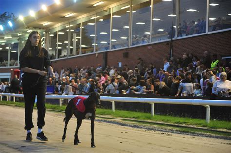 News reports explain why the Tulsa Greyhound schedule changed 15