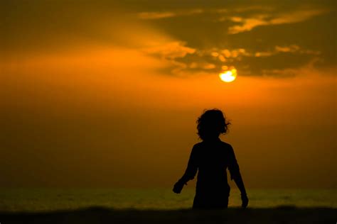 stock photo  beach evening kid