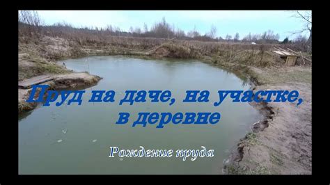 Пруд на даче. Искусственный пруд на своём участке. Как появился наш ...