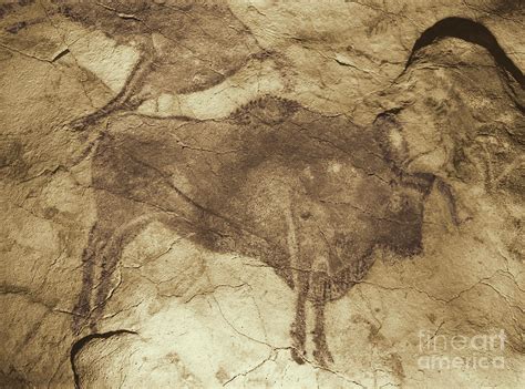 Altamira Cave Paintings Photograph by Photo Researchers | Fine Art America
