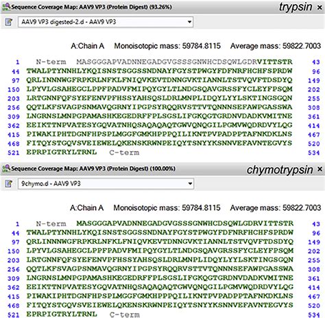 Fast And High Throughput Lc Ms Characterization And Peptide Mapping Of