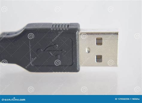 macro usb connector stock photo image  close gadget