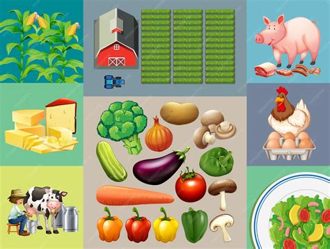 Uma Fazenda Produz Dois Tipos De Alimentos A E B - Diferentes tipos de produtos alimentares na fazenda | Vetor Premium
