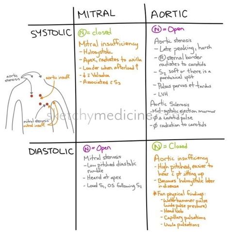 Systolic Vs Diastolic Heart Murmurs Nursing School Notes Nursing School Tips Nurse