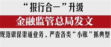 “报行合一”升级！金融监管总局：规范银保渠道业务，严查各类“小账”抓典型！自律，回溯，检查等全方面措施明确费用银保渠道金融监管新浪新闻