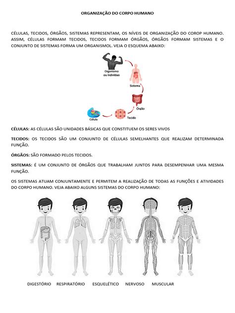 Níveis De Organização Do Corpo Humano - Níveis de Organização do Corpo Humano | PDF