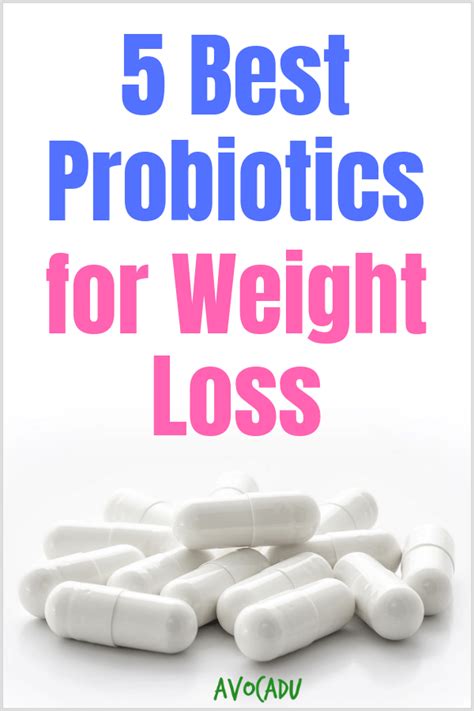 5 Best Probiotics for Weight Loss: and Why You Need Them | Avocadu