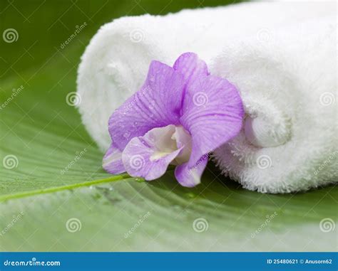 Spa Still Life With Orchid Stock Image Image Of Bamboo