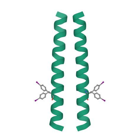 Rcsb Pdb Dzm A De Novo Designed Coiled Coil Cc Di