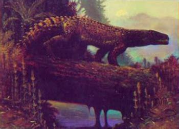 images  collectibles  living extinct animals