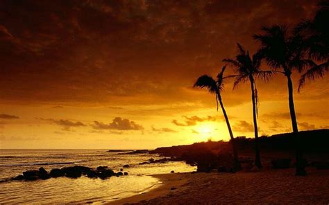 Tropical Sunset Wallpapers - Top Free Tropical Sunset Backgrounds ...