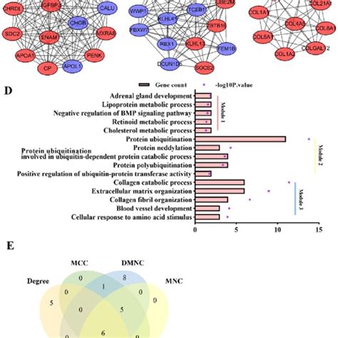 Identification Of Important Modules And Hub Genes In The Ppi Network