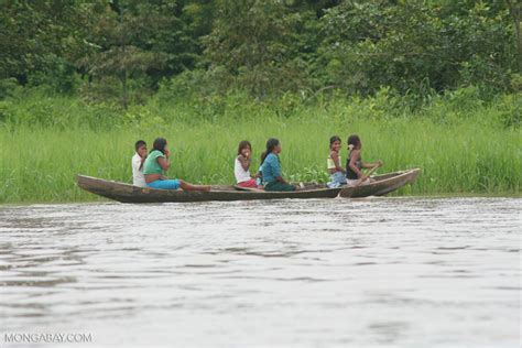 Group Of Amerindian Girls In A Dugout Canoe On The Amazon River