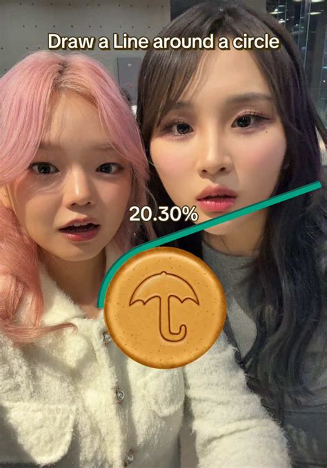 Ino Cat 이노냥 Inocatt Tiktok