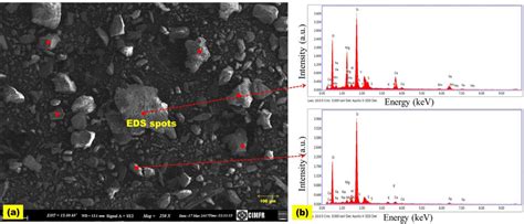 Sem Eds Analysis A Sem Image Of Lead Zinc Mill Tailings And B Element Download Scientific