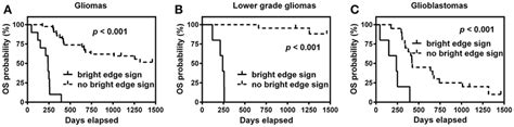 Kaplan Meier Survival Curves Of Overall Survival Os For Patients With Download Scientific