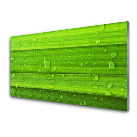 Panneaux De Cuisine En Verre Herbe Nature Vert Tulup Fr