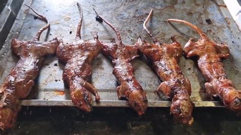 Street Food Rats Fried Insects Youtube