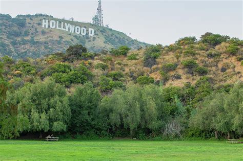 Hollywood Park 2 Photograph by Joe Medina - Pixels