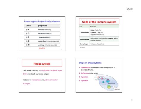 Solution Immunology Handout Studypool