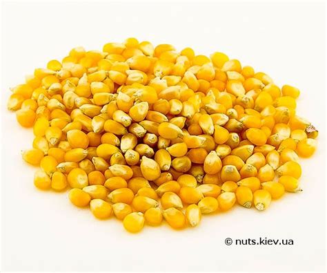 Кукуруза для попкорна, зерно для попкорна, воздушная кукуруза, попкорн ...