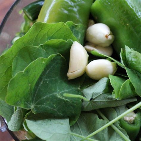 Lacto Fermented Hot Sauce With Nasturtiums Two Ways