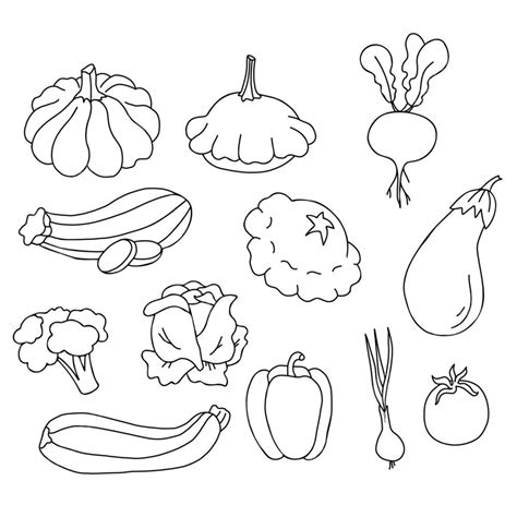 Set Of Vegetables And Root Crops Linear Isolated Food PNG And Vector