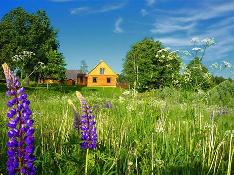 Summer In Countryside Blue Colorful Peaceful Serenity Nice Trees