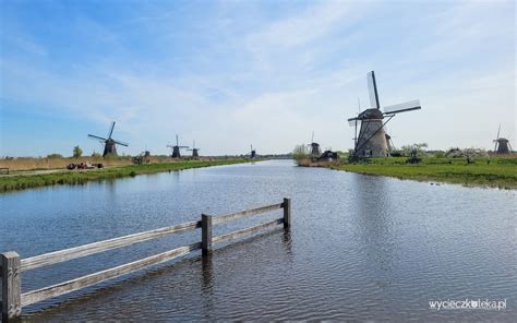 Wiatraki W Kinderdijk Turystyczna Atrakcja Holandii Wycieczkoteka Pl